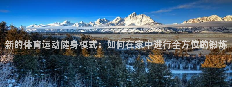 上海杏耀汽车电子有限公司：新的体育运动健身模式：如何在家中进行全方位的锻炼