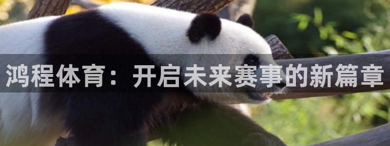 杏耀主管：鸿程体育：开启未来赛事的新篇章