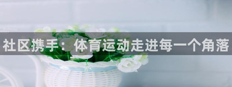 杏耀3：社区携手：体育运动走进每一个角落