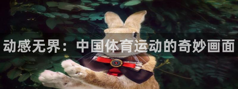 杏耀平台主管：动感无界：中国体育运动的奇妙画面