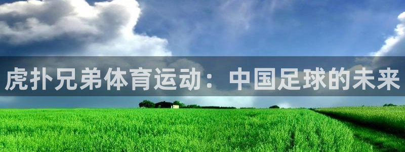 杏耀注册账号：虎扑兄弟体育运动：中国足球的未来