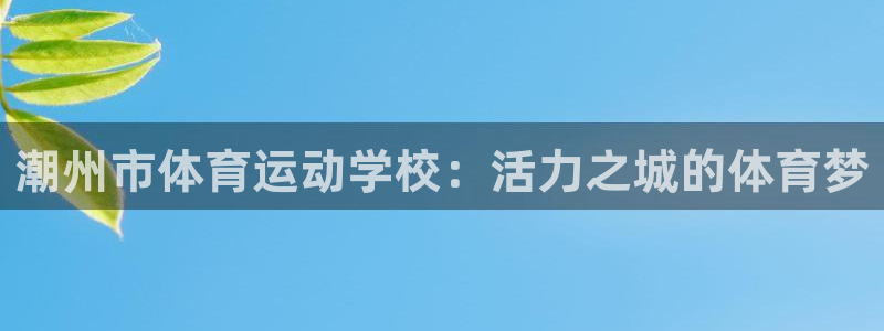 杏耀4代理：潮州市体育运动学校：活力之城的体育梦