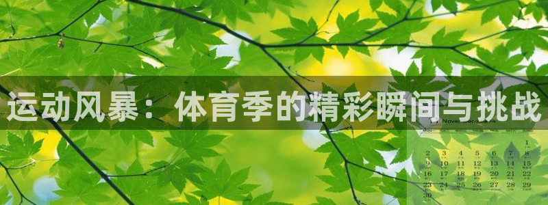 杏耀平台怎么注册：运动风暴：体育季的精彩瞬间与挑战