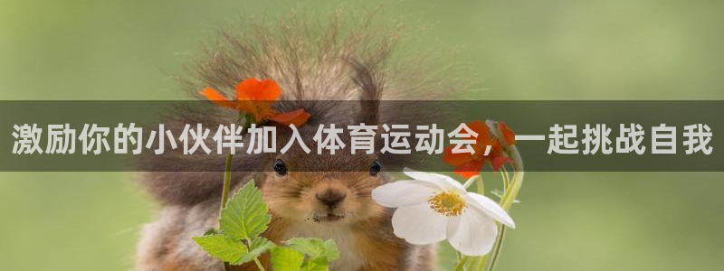 杏耀4注册：激励你的小伙伴加入体育运动会，一起挑战自我