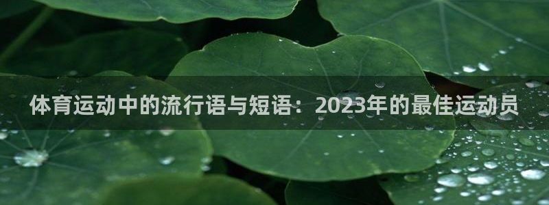 杏耀体育注册登录入口：体育运动中的流行语与短语：2023年的最佳运动员