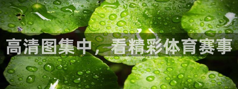 杏耀5注册：高清图集中，看精彩体育赛事