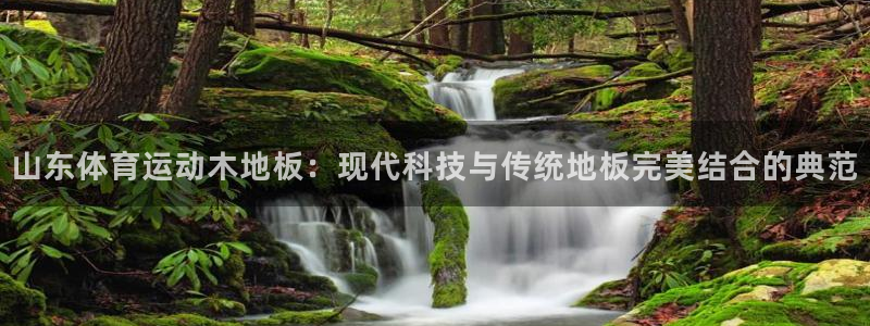 杏耀注册登录代理：山东体育运动木地板：现代科技与传统地板完美结合的典范