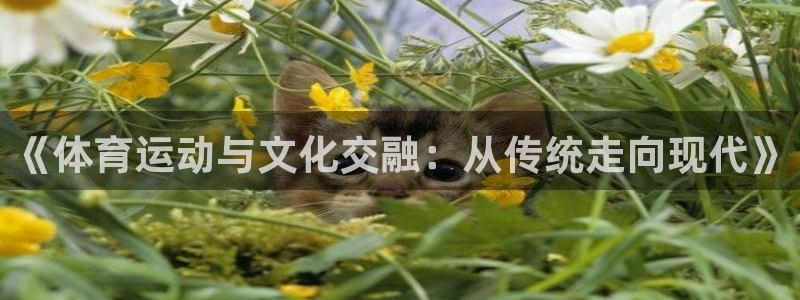 杏耀体育平台总代理：《体育运动与文化交融：从传统走向现代》