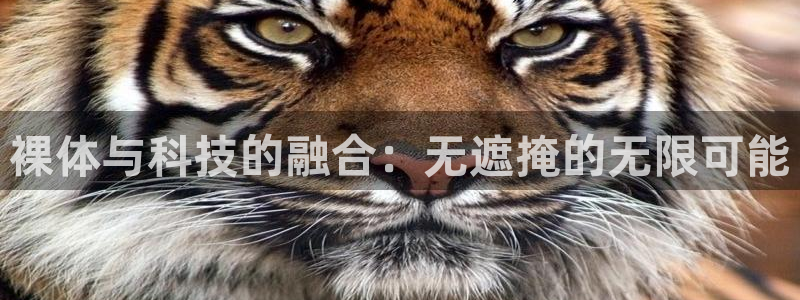 杏耀平台总代理：裸体与科技的融合：无遮掩的无限可能
