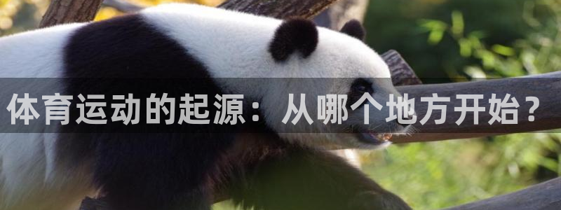 杏耀集团：体育运动的起源：从哪个地方开始？