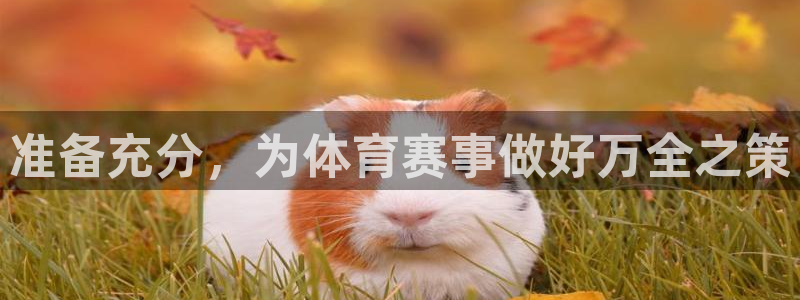 杏耀手机登录线路测速：准备充分，为体育赛事做好万全之策