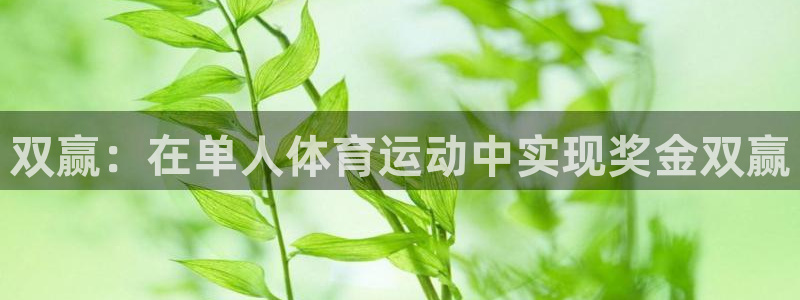 杏耀平台主管：双赢：在单人体育运动中实现奖金双赢