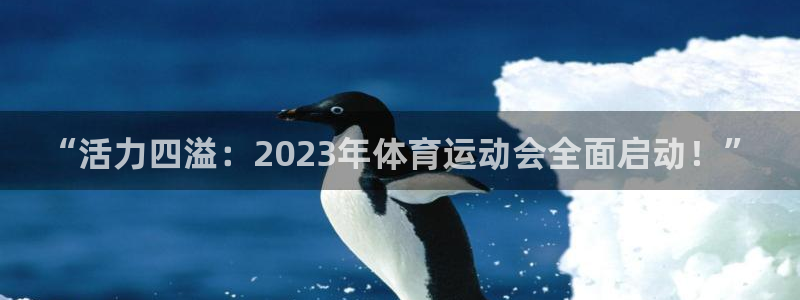 杏耀3平台注册：“活力四溢：2023年体育运动会全面启动！”