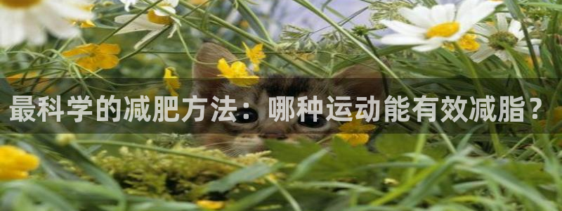 杏耀2体育登录入口：最科学的减肥方法：哪种运动能有效减脂？