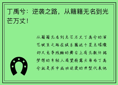 丁禹兮：逆袭之路，从籍籍无名到光芒万丈！