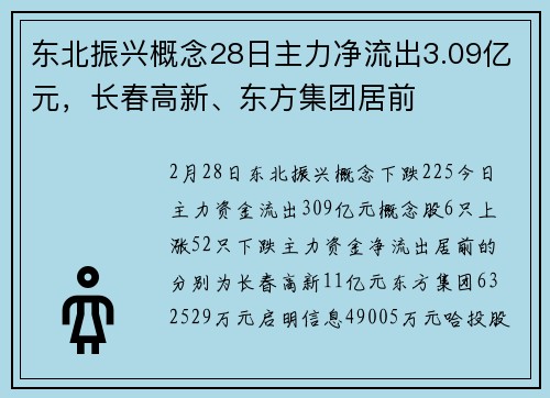 东北振兴概念28日主力净流出3.09亿元，长春高新、东方集团居前