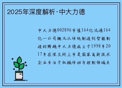 2025年深度解析·中大力德