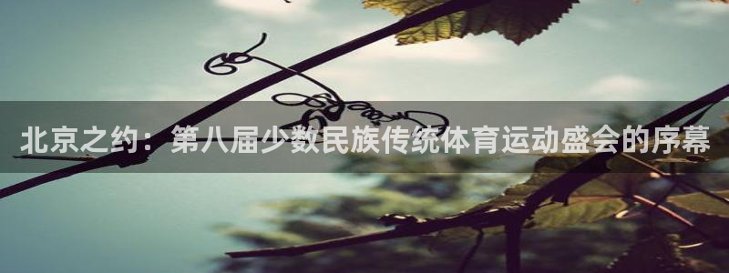 杏耀平台注册登陆：北京之约：第八届少数民族传统体育运动盛会的序幕