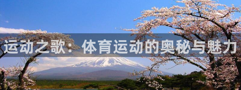 杏耀登录线路测速：运动之歌：体育运动的奥秘与魅力