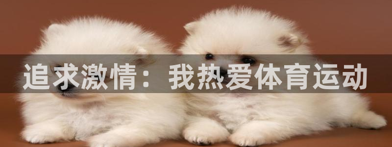 杏耀网络测速官网：追求激情：我热爱体育运动