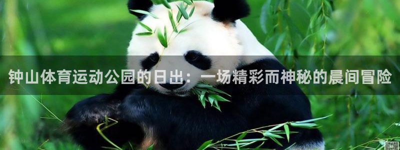 杏耀平台怎么注册：钟山体育运动公园的日出：一场精彩而神秘的晨间冒险