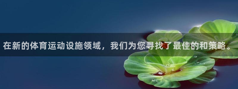 杏耀体育3在线注册：在新的体育运动设施领域，我们为您寻找了最佳的和策略。
