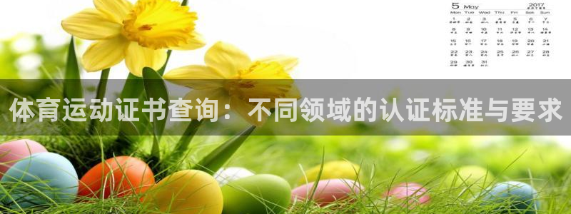 杏耀2平台注册：体育运动证书查询：不同领域的认证标准与要求
