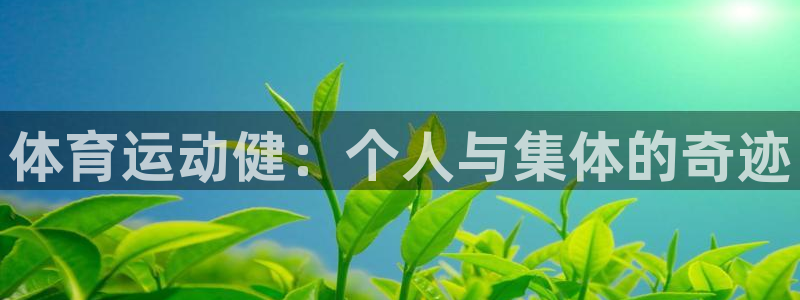 杏耀官网：体育运动健：个人与集体的奇迹