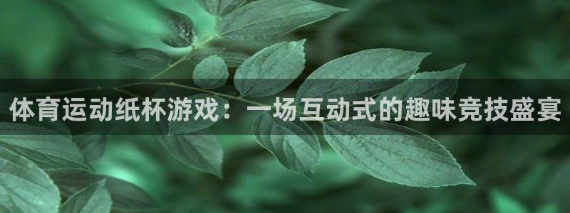 杏耀如何注册：体育运动纸杯游戏：一场互动式的趣味竞技盛宴