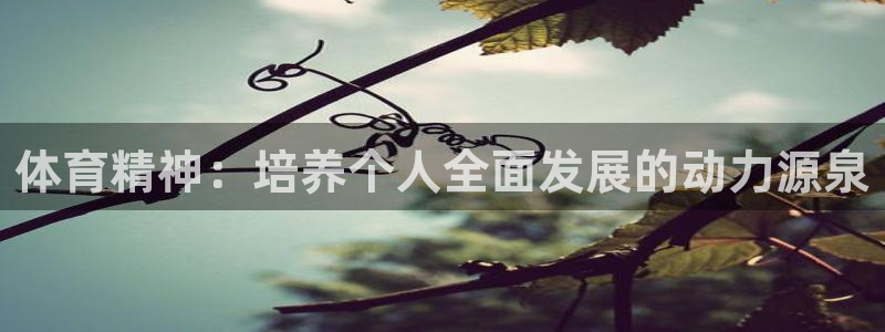 杏耀如何注册：体育精神：培养个人全面发展的动力源泉