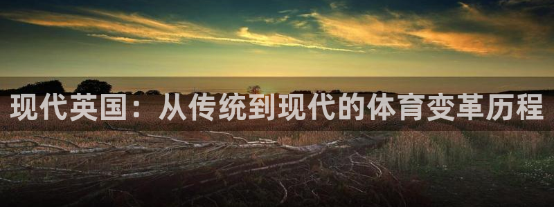 杏耀体育f开号：现代英国：从传统到现代的体育变革历程