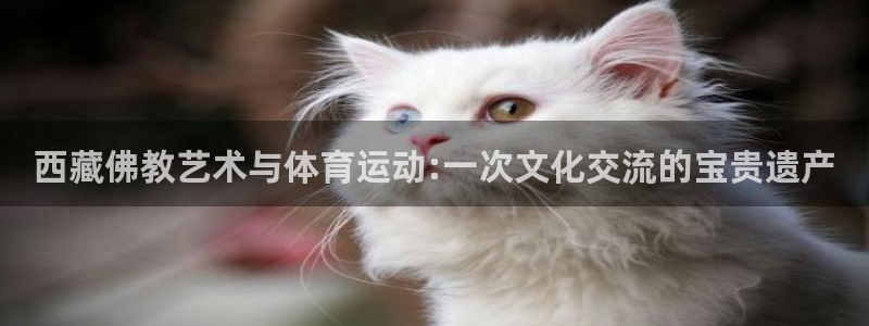 杏耀官网：西藏佛教艺术与体育运动:一次文化交流的宝贵遗产