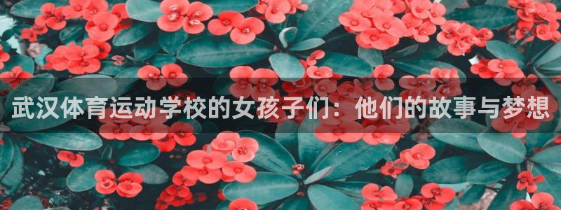 杏耀股份：武汉体育运动学校的女孩子们：他们的故事与梦想