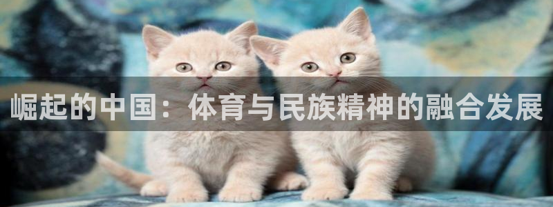 杏耀3代理：崛起的中国：体育与民族精神的融合发展